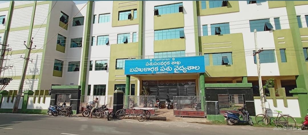 Government Of AP Regional Veterinary Hospital